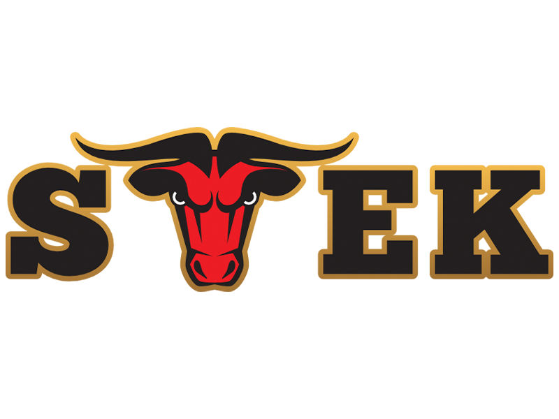 STEK